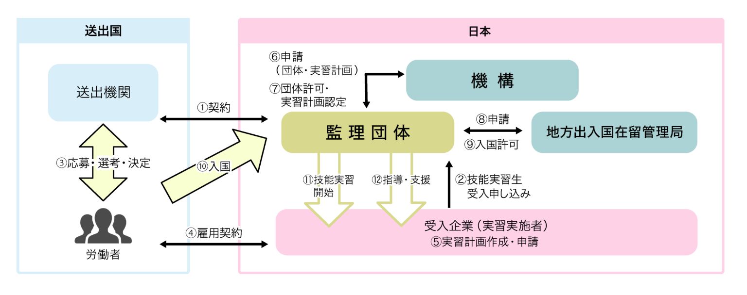 団体監理型フロー図