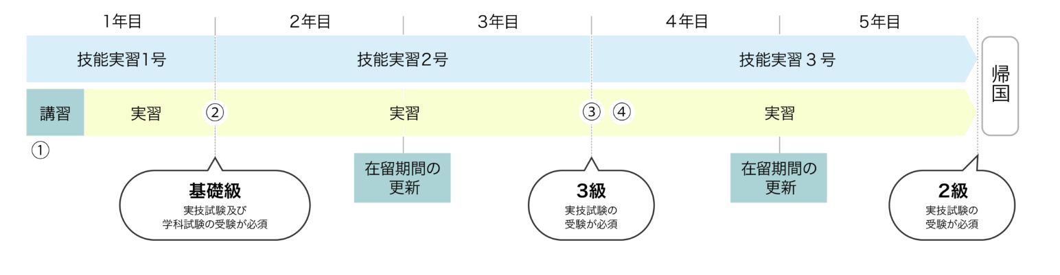 技能実習の流れ